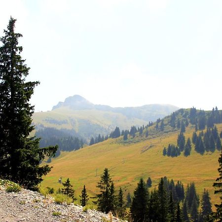 Appartement Confortable A Thollon-Les-Memises Avec Vue Buitenkant foto